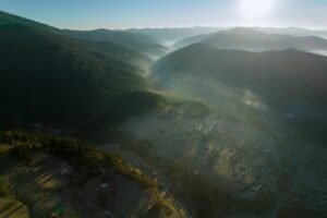 Juxtaposition of mist and mountains transformed ordinary forest into scene of extraordinary beauty.